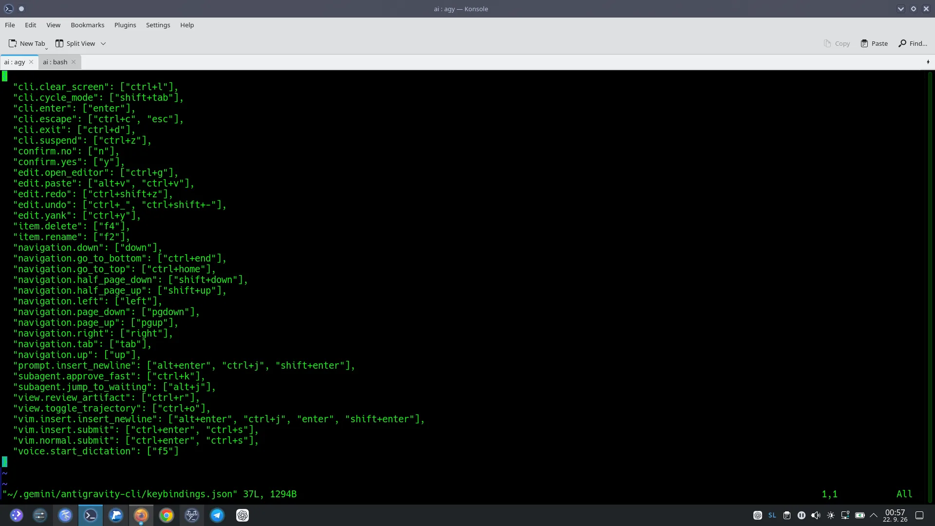 Antigravity Keybindings in Editor