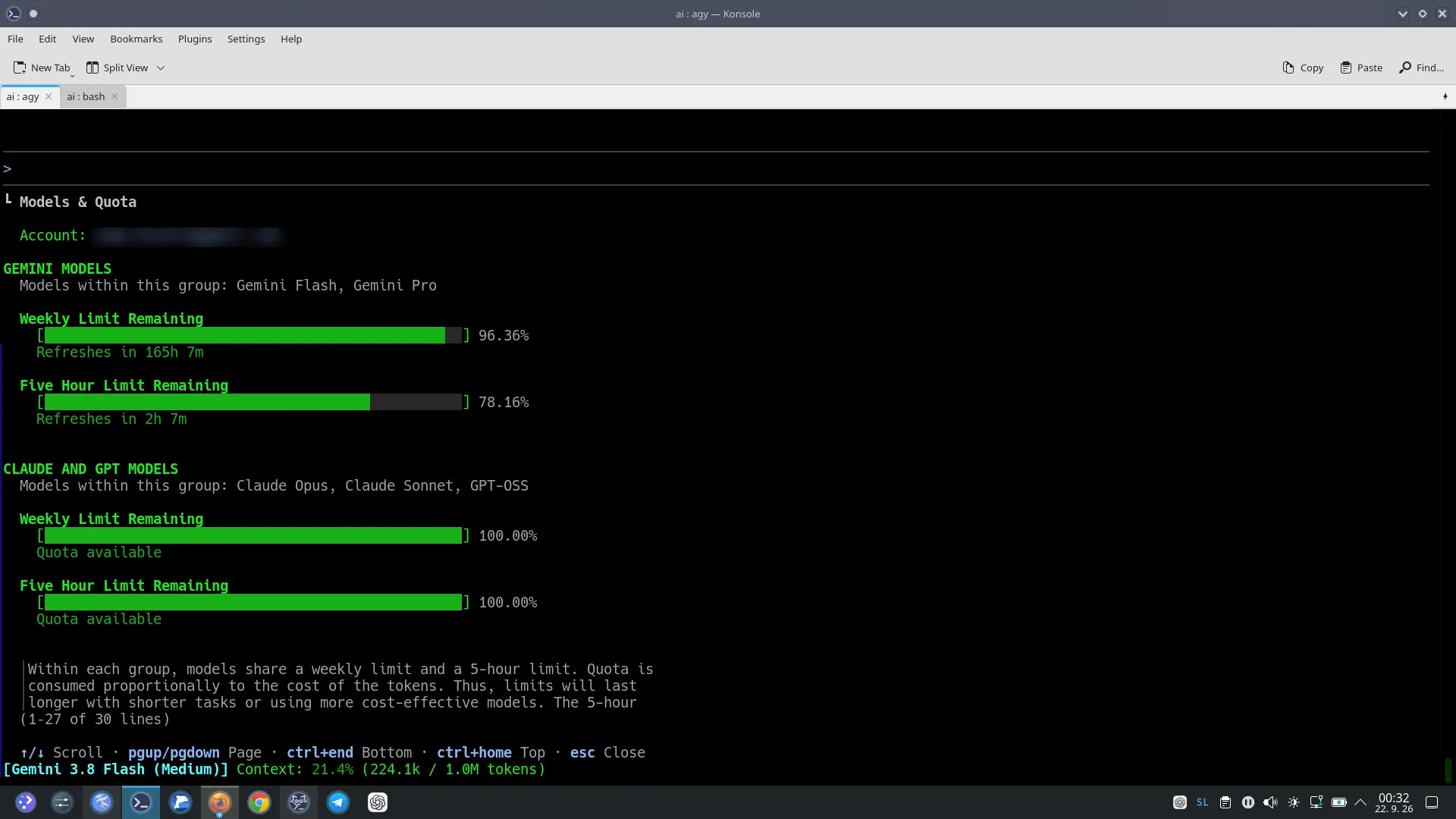 Antigravity Models and Quota Monitor